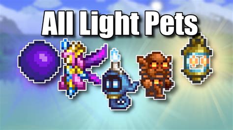 Terraria Best Light Pets (All Terraria Light Pets Ranked Worst to .